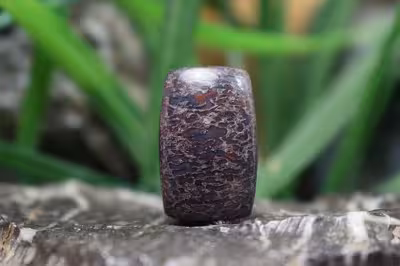 فسیل استخوان دایناسور