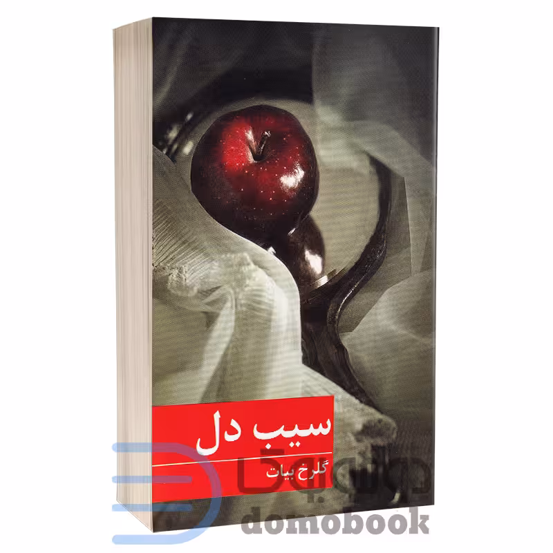 کتاب سیب دل اثر گلرخ بیات انتشارات برکه خورشید