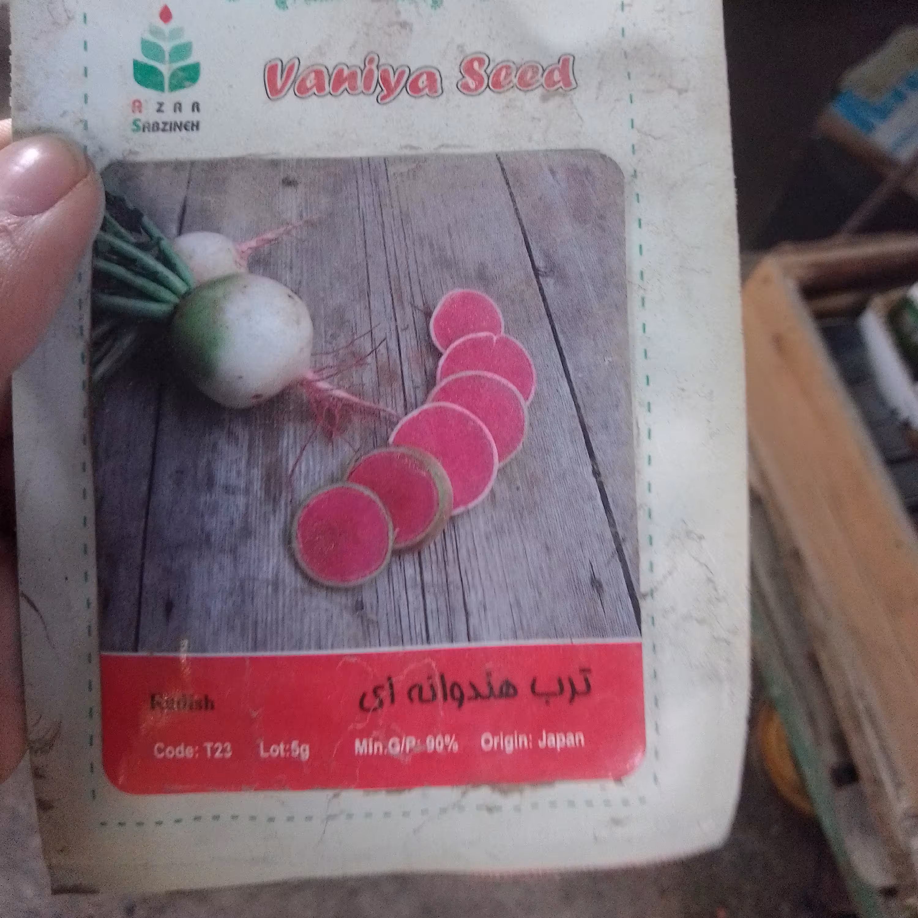 بذر ترب هندونه ای