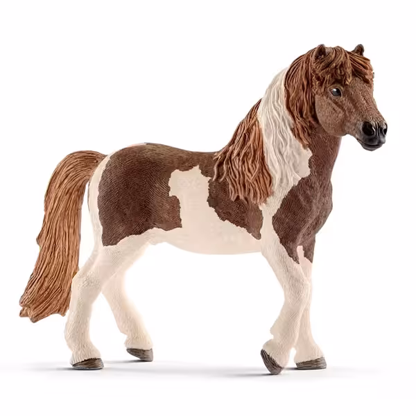 کره اسب ایسلندی نر اشلایش Schleich