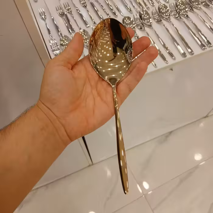 قاشق سرآشپز رولنزا مدل A42w