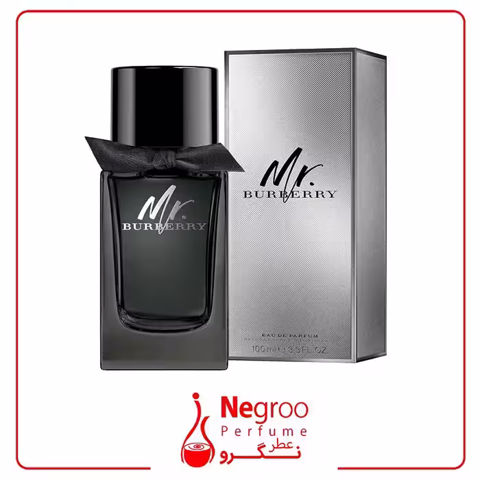 عطر ادکلن باربری مستر باربری ادو پرفیوم 100 میل