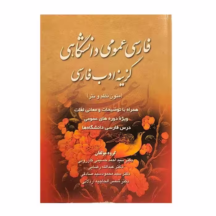 فارسی عمومی دانشگاهی گزینه ادب فارسی اثر سید احمد حسینی کازرونی انتشارات ارمغان- چاپ 6-91