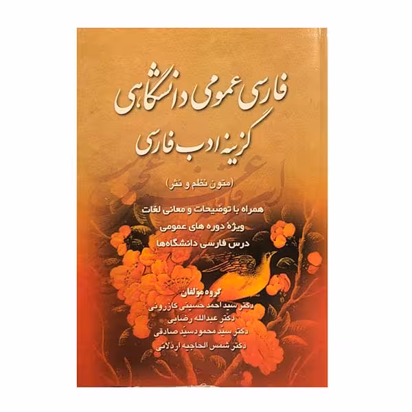فارسی عمومی دانشگاهی گزینه ادب فارسی اثر سید احمد حسینی کازرونی انتشارات ارمغان- چاپ 6-91