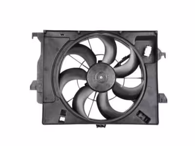 فن کامل پیکانتو