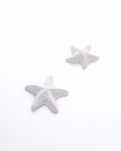 ستاره دریایی