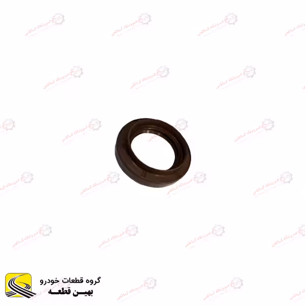 کاسه نمد پلوس بزرگ چانگان CS35