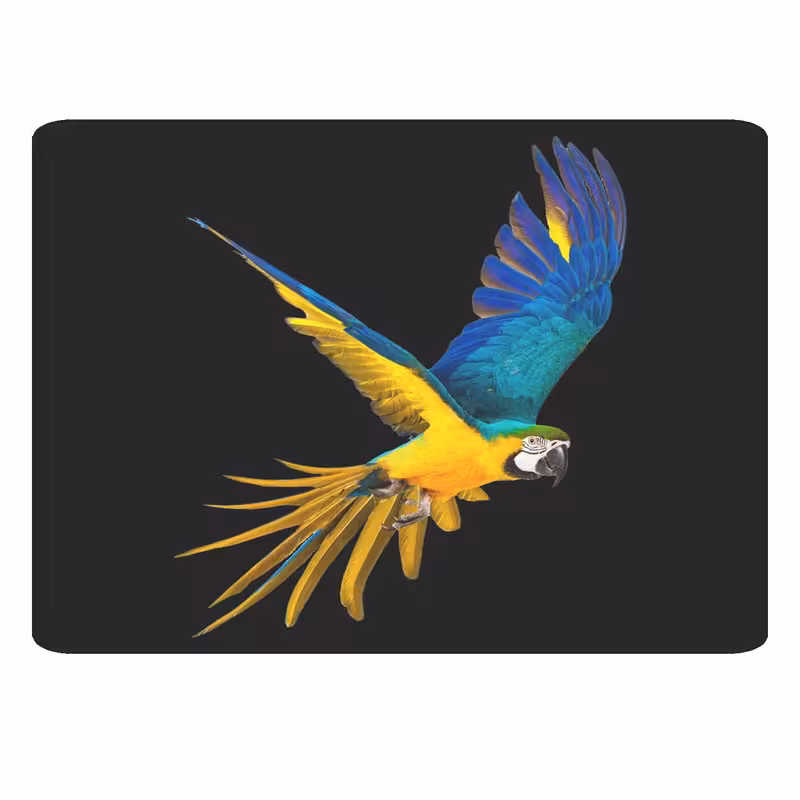 پد موس - پد ماوس مدل کد KM 167 طوطی