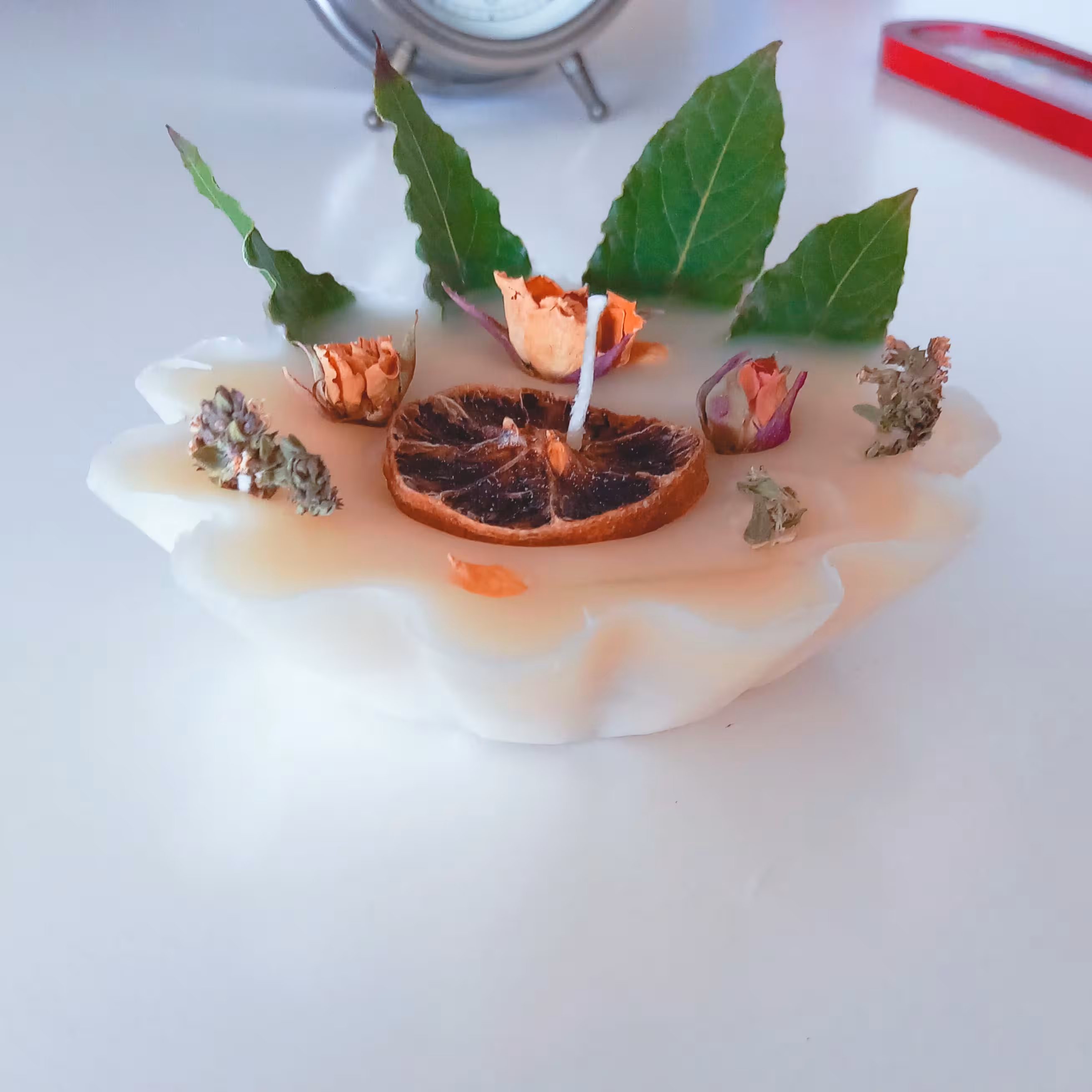 شمع گیاه پیچ