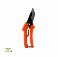 قیچی هراس بران 2