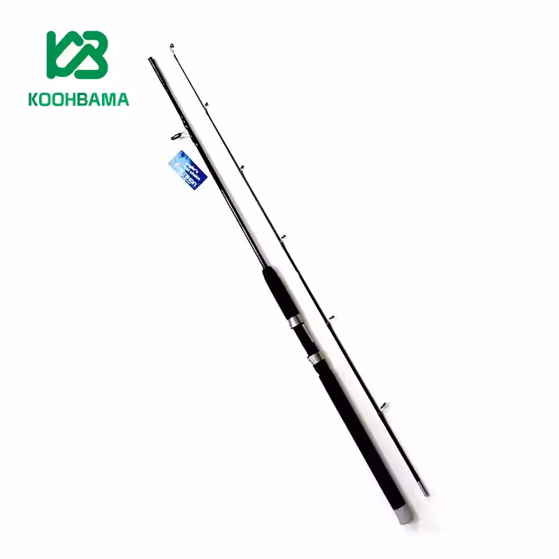 چوب ماهیگیری دو تیکه رمیکسون Remixon Fanatic 165CM