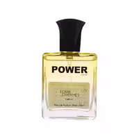 عطر مردانه جیبی تق هرمس 25 میل برند پاور پالس