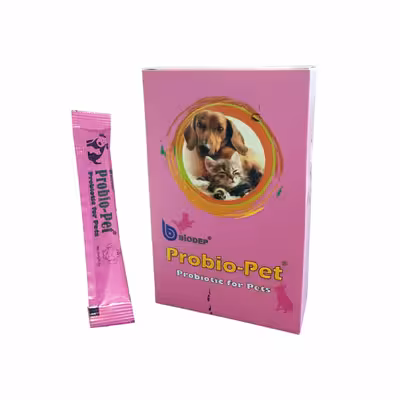 مکمل غذای سگ و گربه بایودپ مدل پروبیوپت وزن 150 گرم بسته 15 عددی