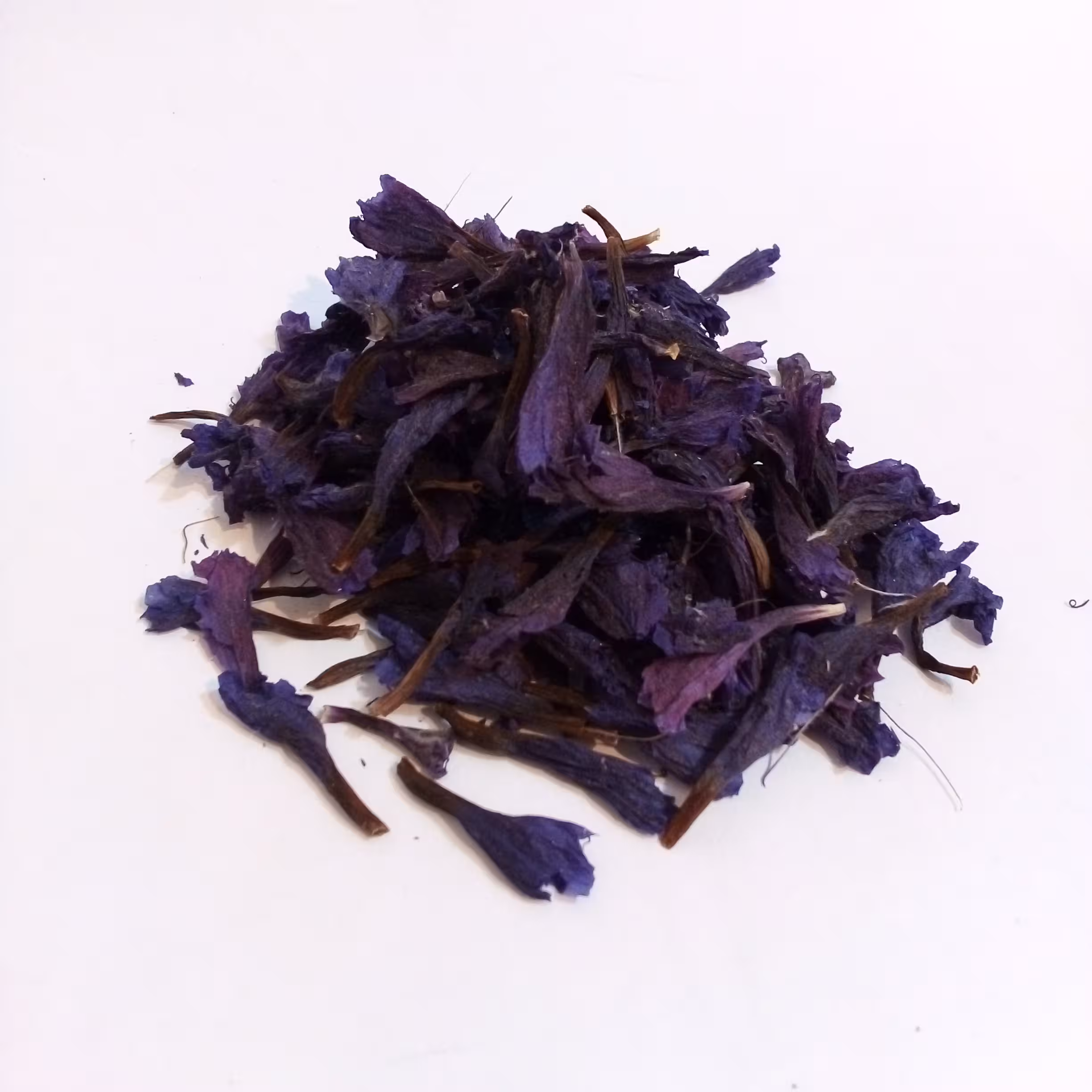 گل گاوزبان