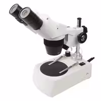 ميكروسكوپ اپتيكی استريو SM10