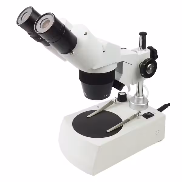 ميكروسكوپ اپتيكی استريو SM10
