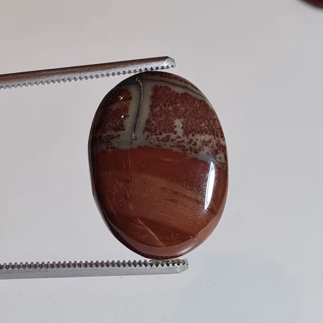 جاسپر دراگون شناسه 5651