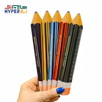 خط کش 12 سانتی چوبی طرح مداد