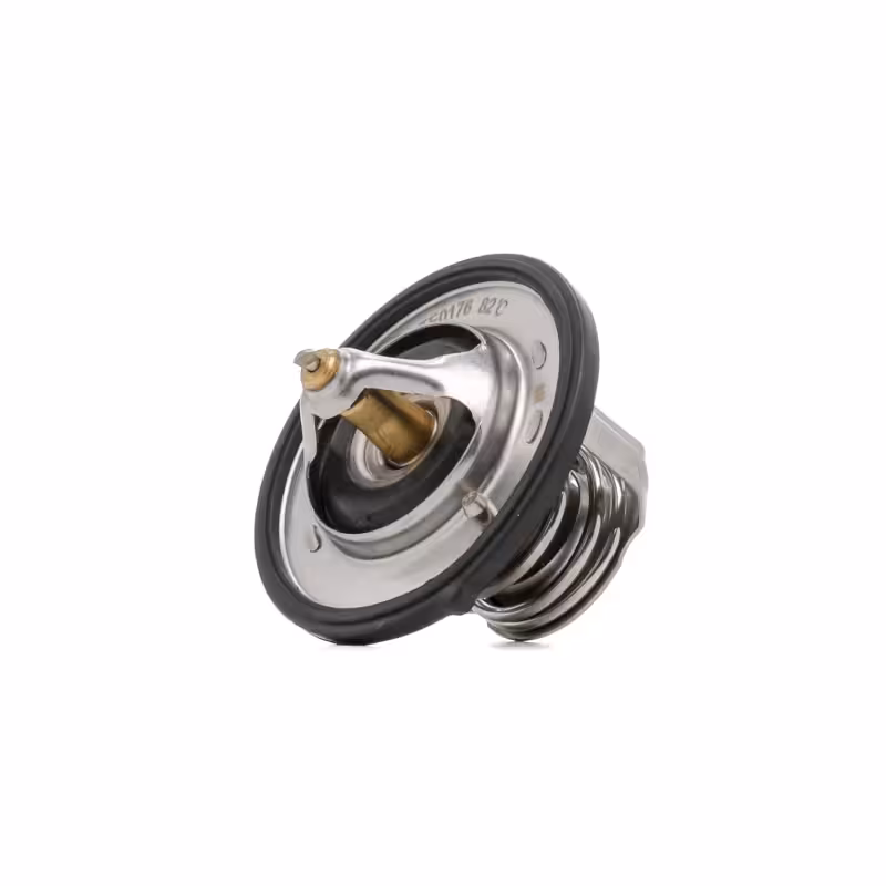 ترموستات هیوندای ولستر