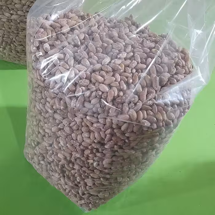 بادام زمینی گیلان (آستانه اشرفیه)ریز ساده(میانه)(بدون نمک)5کیلویی