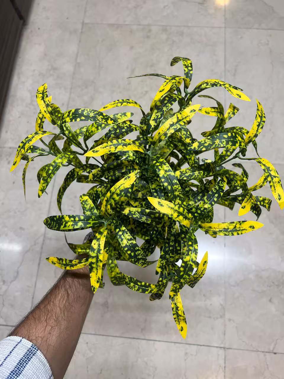 بوته اکوبا رنگی مصنوعی
