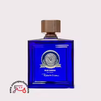 عطر ادکلن ویزاری بلو کندل | vizzari blue candle