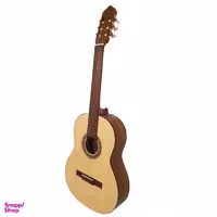 گیتار کلاسیک بنبرگ مدل BG 491