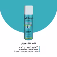 شامپو مو خشک مالیزیا مدل Giovani حجم 200 میل