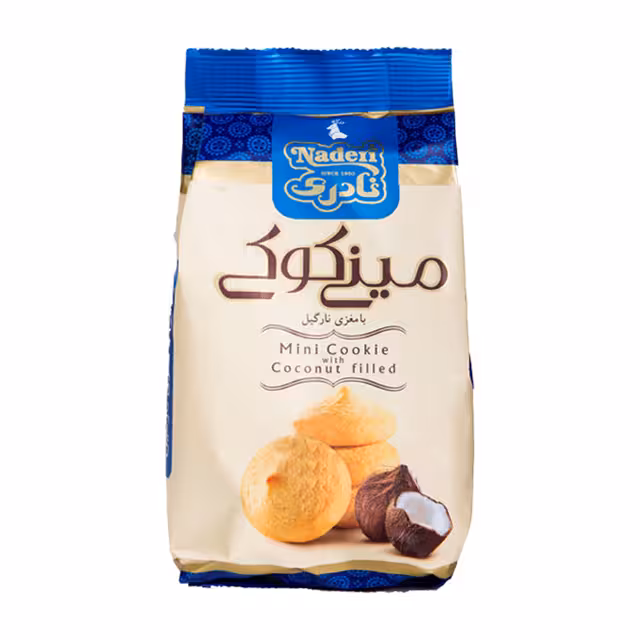 مینی کوکی نارگیلی نادری 105 گرمی