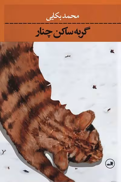 گربه ساکن چنار