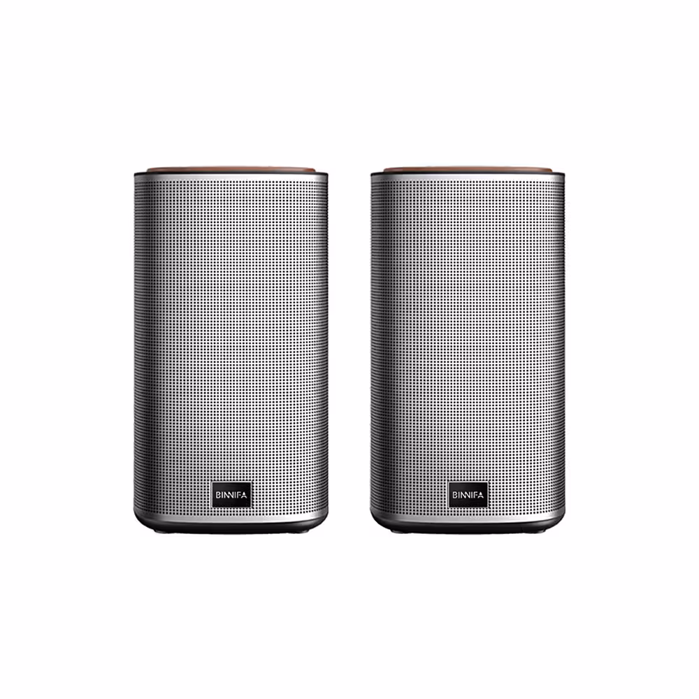 اسپیکر بلوتوث شیائومی BINNIFA Play 2D Bluetooth 5.0 Stereo Speaker
