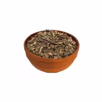 تخمه آفتابگردان بو داده قزوین 500 گرمی