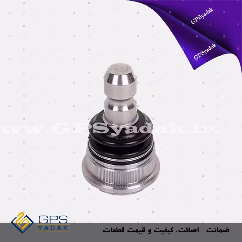 سیبک طبق کیا پیکانتو