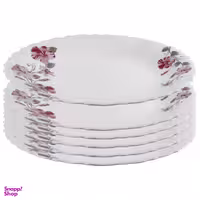 پیش دستی پارس اپال مدل 769 بسته 6 عددی