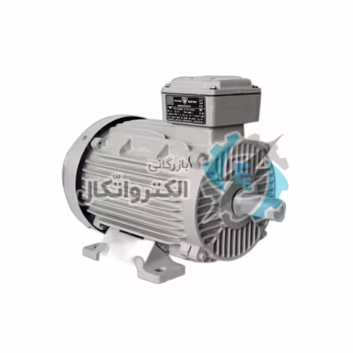 الکتروموتور موتوژن 45 کیلووات(60 اسب) سه فاز ، 3000 دور، پوسته چدن