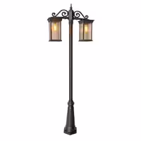 پاریس متوسط دوشاخه