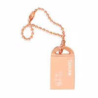 فلش مموری دیتا پلاس مدل ROSE GOLD USB 3.1 ظرفیت 128 گیگابایت