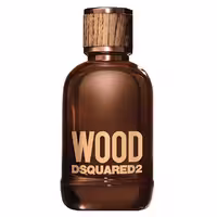 ادو تویلت مردانه دیسکوارد مدل Wood حجم 100 میلی‌ لیتر