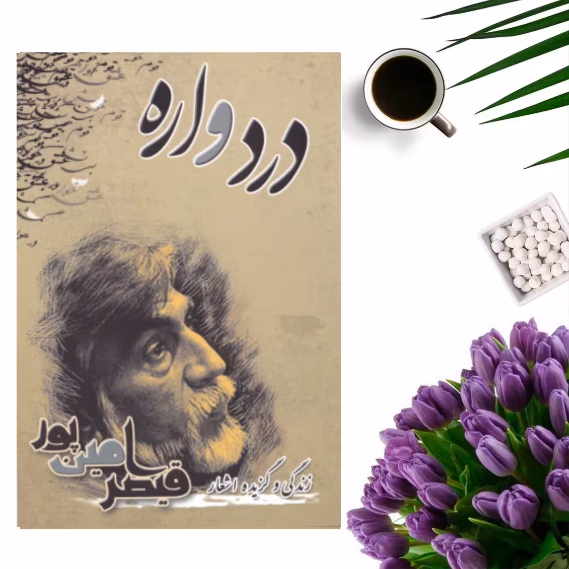 کتاب زندگی و گزیده اشعار قیصر امین پور ( دردواره) انتشارات سایه آرا