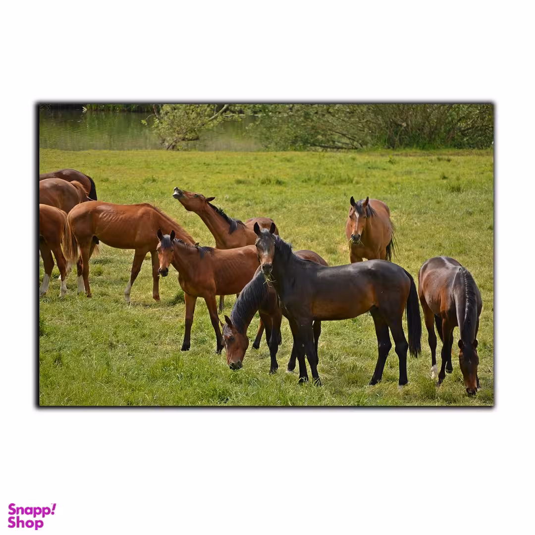 تابلو شاسی بکلیت طرح گله اسب مدل SH-7583