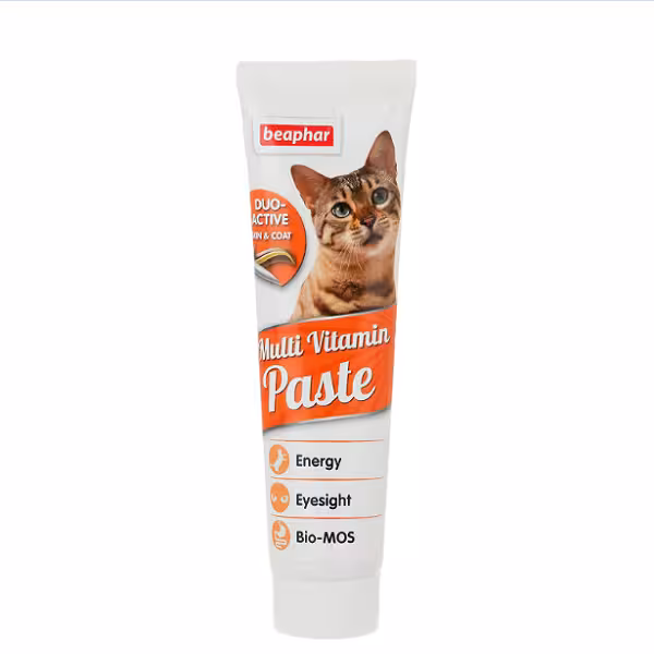 خمیر مولتی ویتامین گربه بیفار وزن 100 گرم