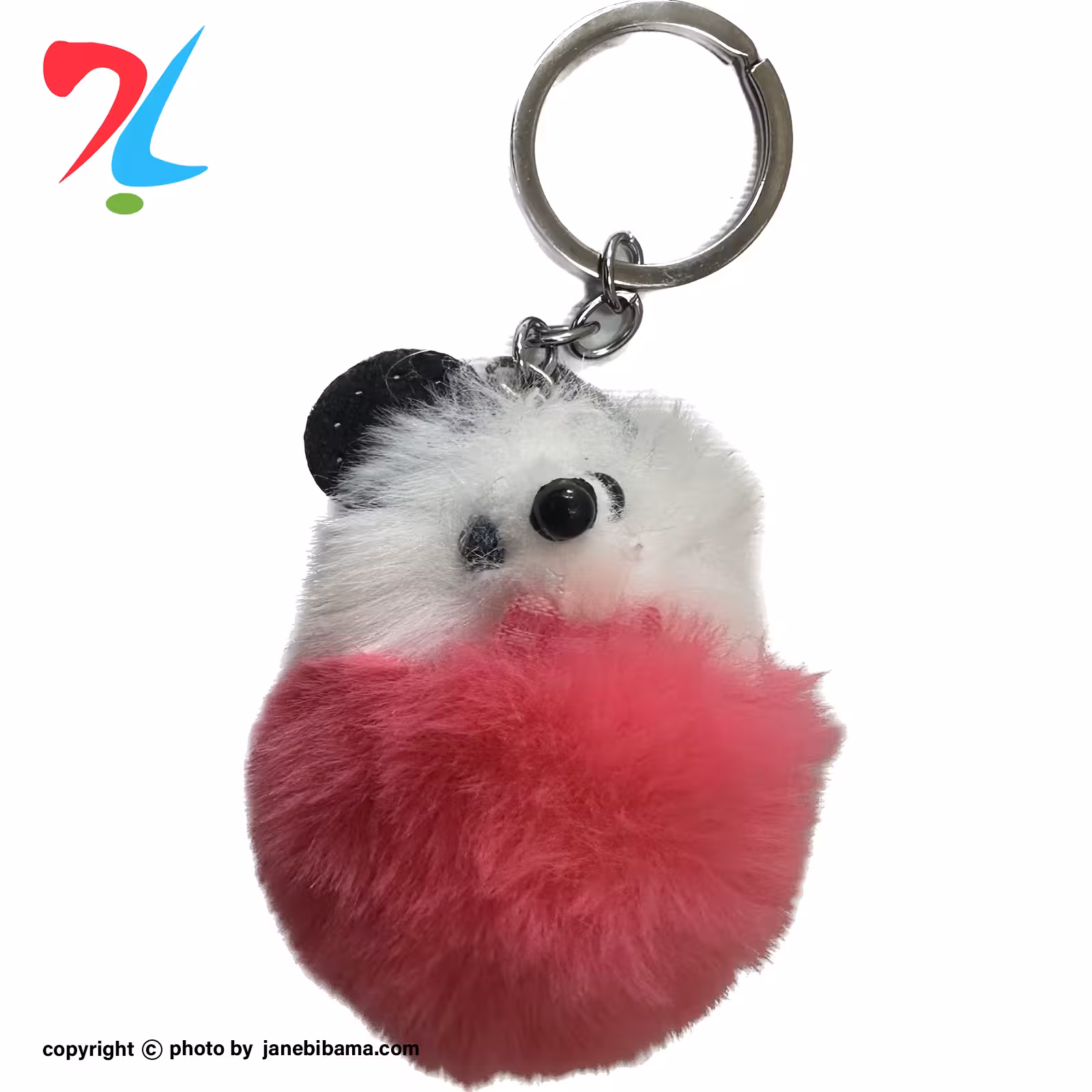 جاسوئیچی موش پشمالو