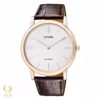 ساعت مچی سیتیزن مدل Citizen AR1113-12A