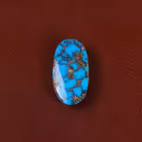 نگین فیروزه شجری کد 29540 - جواهری مشاهیر