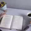 کتاب تبصره ی 22 اثر جوزف هلر نشر چشمه