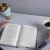 کتاب تبصره ی 22 اثر جوزف هلر نشر چشمه
