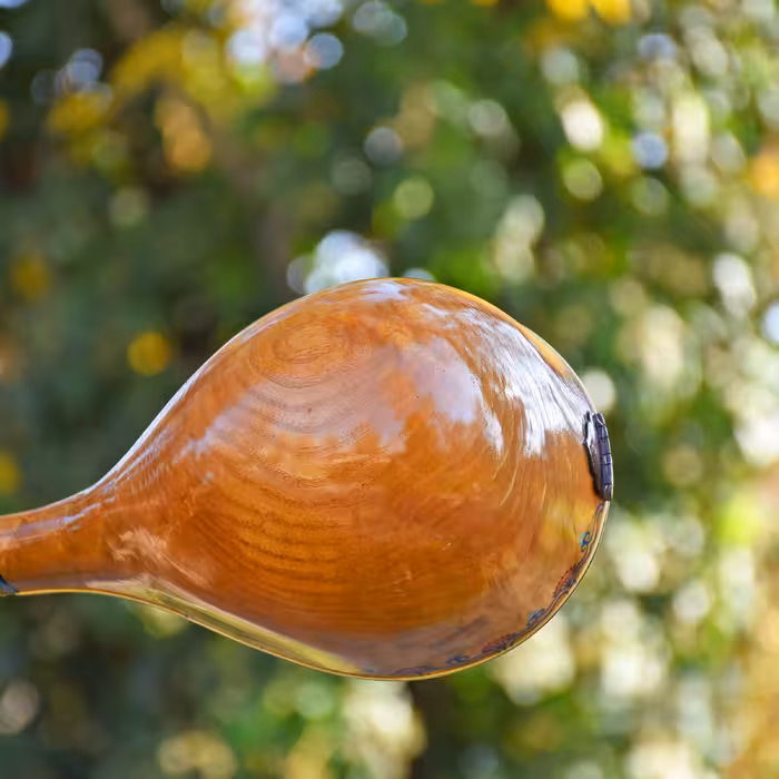 سه تار ایران ساز مدل رها