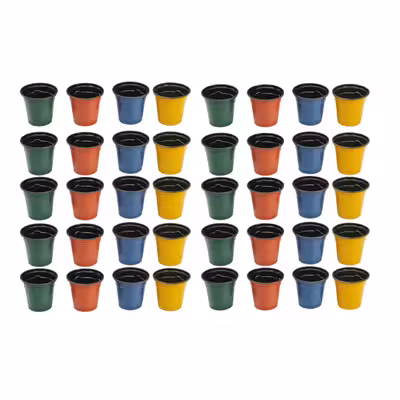 گلدان مدل ژله ای کد a-06 بسته 50 عددی