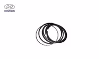 رینگ موتور هیوندای النترا