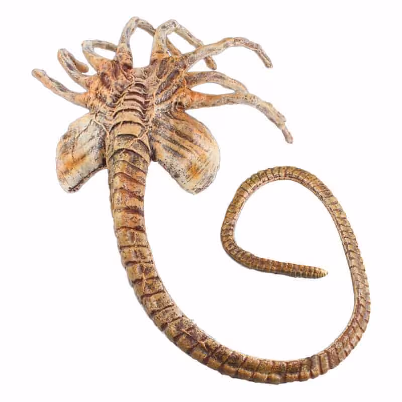فیگور ایلین فیس هاگر | Alien Facehugger | از فیلم بیگانه